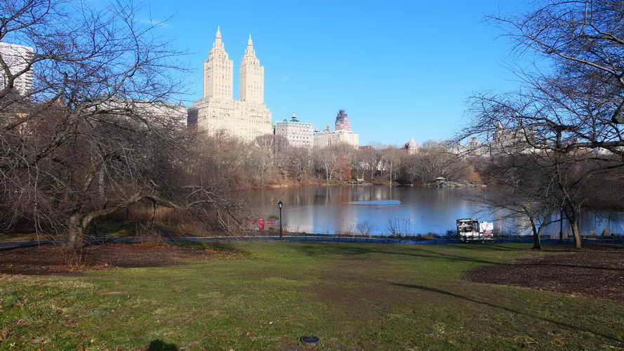 NYC_2020-01-26 09-34-44_P1070572